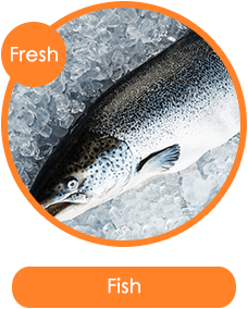 Fish