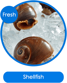 Shellfish